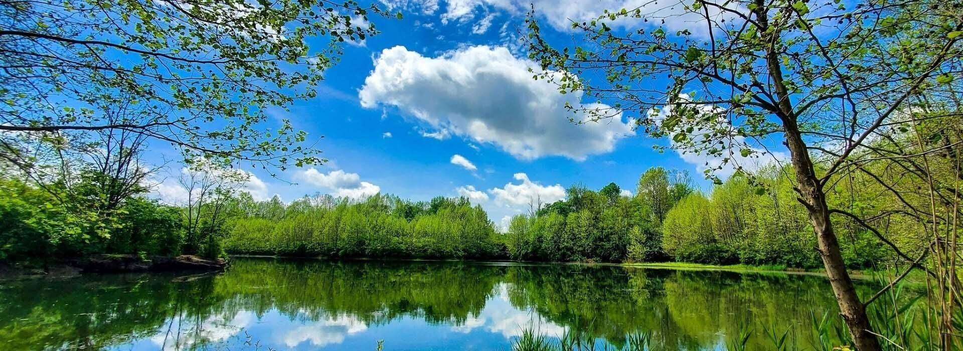 Scenic photo of lake surrounded by trees